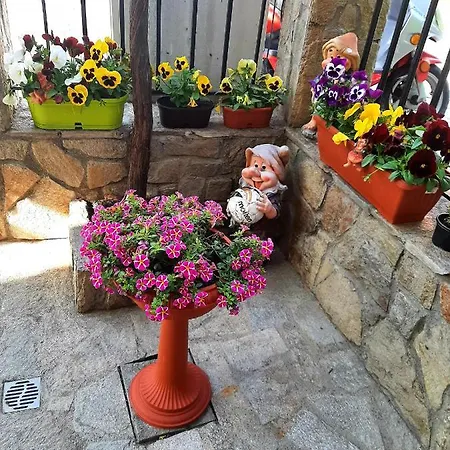 More * Sozopol